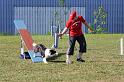 Bild 732